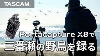 TASCAM ( タスカム ) Portacapture X8 ハンドヘルドレコーダー TASCAM ( タスカム ) Portacapture X8 ハンドヘルドレコーダー