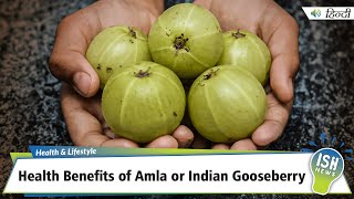 Health Benefits of Amla or Indian Gooseberry