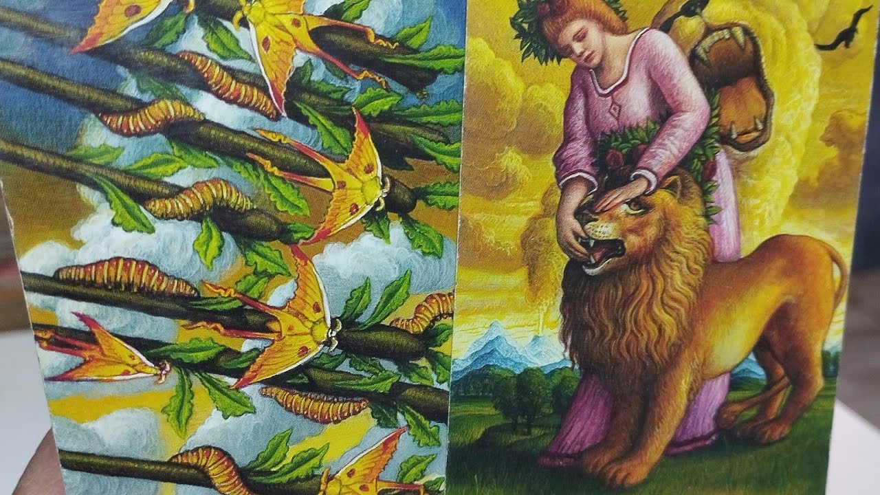 Leão 🦁♌ 17-23 Nov/24 Tentou abafar! Volta 8 x mais forte! Destino!