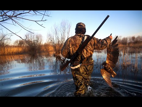 Gjykimi i fesë Islame mbi gjuetinë? - Dr. Imam Ahmed Kalaja