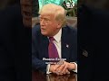 Trump S Message To Putin And Zelenskyy I Say Get This Stupid War Finished