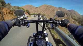 1584 Street Bob Stage 2 : accrochez vous où vous pouvez, ça pulse !