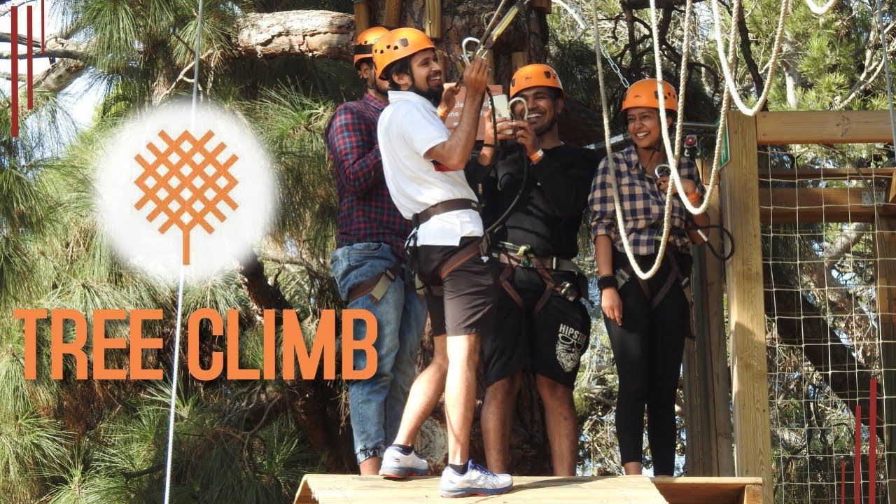 Join traveler on adventure at TreeClimb Adelaide.