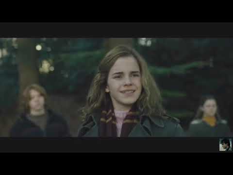 Jerry B. Anderson 's Emma Synchro - WASCH DEINEN STICK!