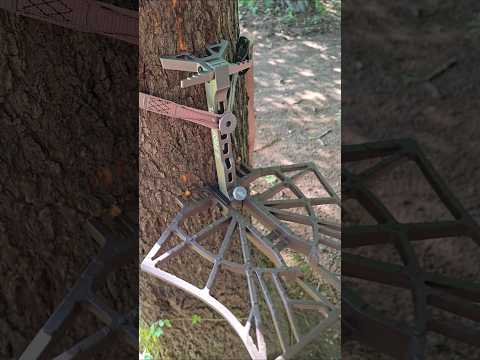 Latitude Lonestar Saddle Review - WORTH THE HYPE?