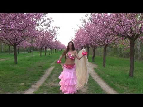 Amr Diab - Ah Habiby عمرو دياب - آه حبيبي Isabella Belly Dance HD