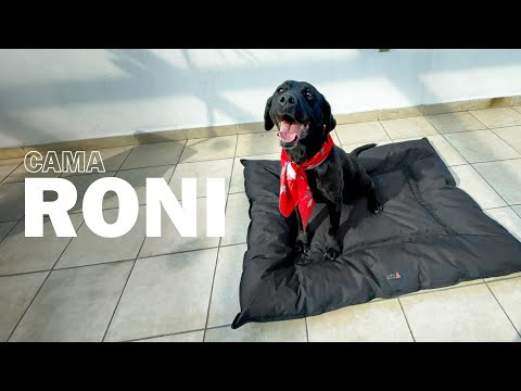 thumbnail video image 2 of Cama Para Mascota Red Baboon Roni, Azul, de Exterior Mediana 85x70x7 y Fácil de Lavar Red Baboon Rony, 2 of 6