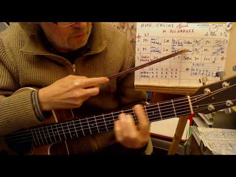 Ame Caline - Michel Polnareff