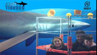 DIA 2 Expo Tiburon262