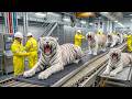 Inside a Lion Leather Factory 🦁  Step-by-Step Luxury Bag Production (Full Process).