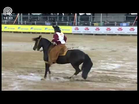 Aberta de Esteio (RS) – 5° lugar fêmeas – Xica do Infinito (Prova: Bayard/Sarmento)