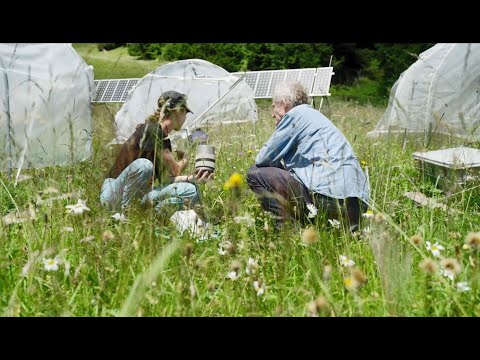 Szenarien für das Klima der Zukunft (Michael Bahn)