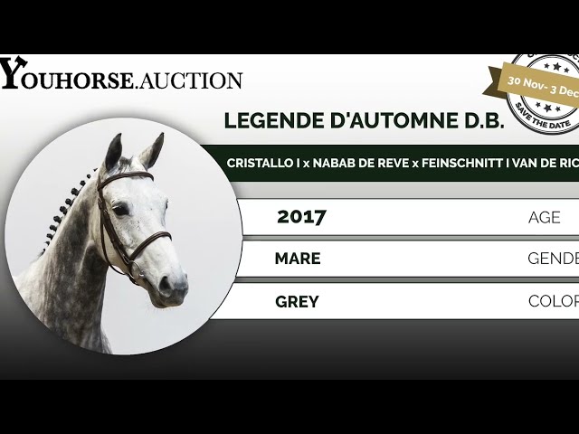 Legende d’Automne DB showvideo