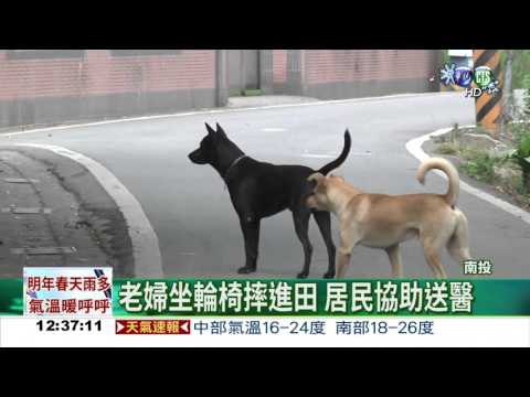 看護推輪椅散步 老婦慘"犁田"