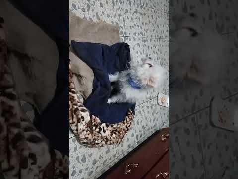 16 de octubre de 2023