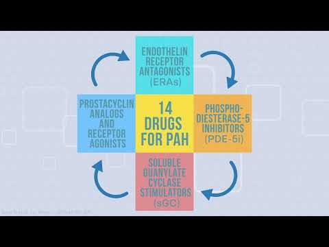 Pulmonary Arterial Hypertension (PAH): Therapy Options Explained