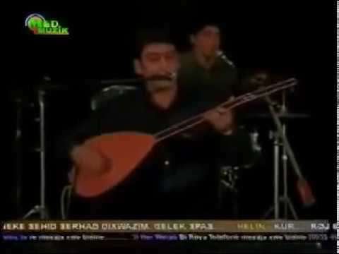 Şehîd Argeş - Dara Jînê (Binnivîs)
