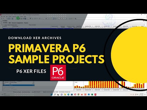 Convert Primavera P6 Schedule to Excel Timeline Project Plan in Excel with Gantt Chart from P6