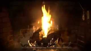 Video Řády-album Kvítko