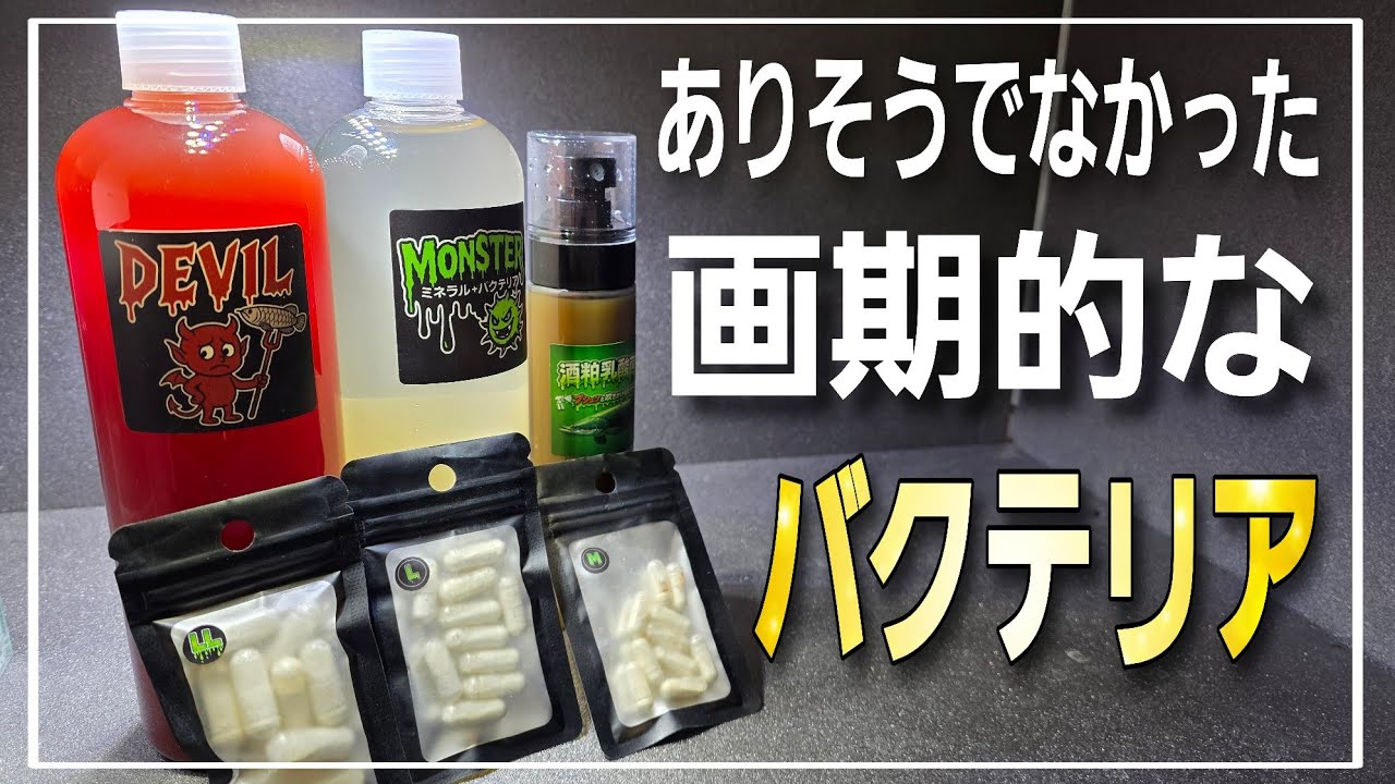 バクテリアに革命!!ありそうでなかった超画期的なバクテリア剤が凄すぎる‼　aquarium　アクアリウム　熱帯植物　金魚　熱帯魚　水草　流木　メダカ　アロワナ　海水魚