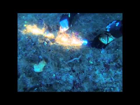 Séjour plongée à Ustica, Sicile. Club Orca diving center