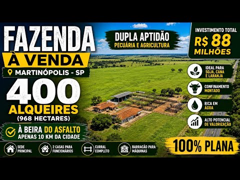 🚜 FAZENDA À VENDA EM MARTINÓPOLIS - SP | 400 ALQUEIRES | DUPLA APTIDÃO 🌱🐂