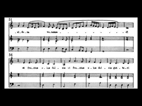 Monteverdi - Ego flos campi