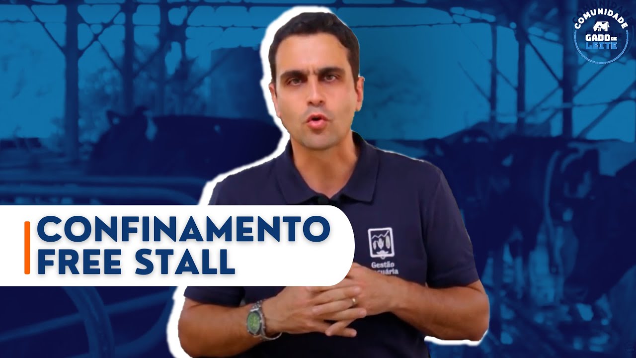 Confinamento para gado de leite: Free Stall