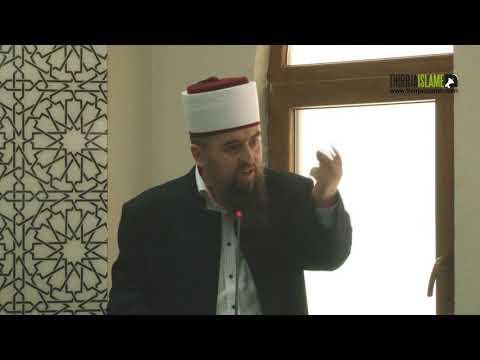 A mjafton për njeriun shembull bubreci dhe bleta?! - Hoxhë Dhulkarnejn Ramadani