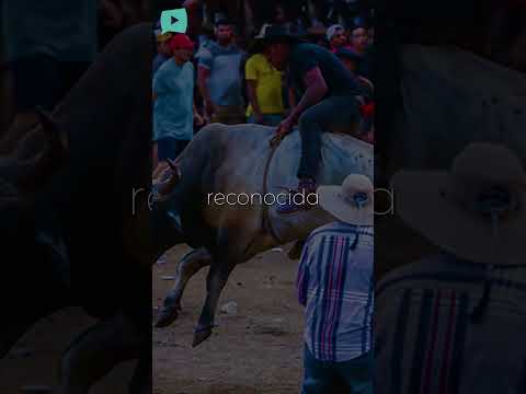 Santa Cruz: el corazón del folclore guanacasteco 🇨🇷❤️