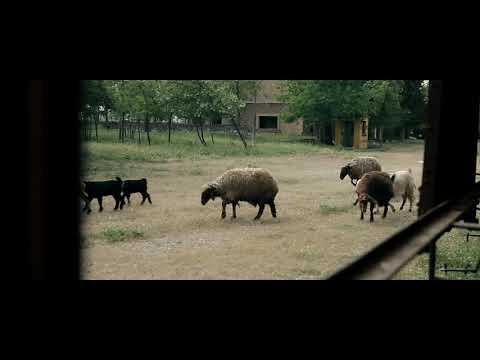 بيروت المحطة الأخيرة