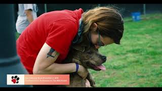 Humane Society Promo