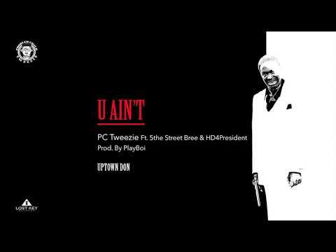 PC Tweezie - You Ain't Ft 5th Street Bree & HD4President