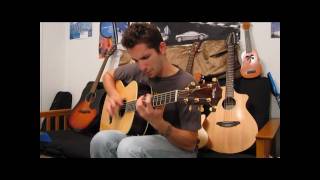 Dave Matthews Band Ants Marching Acoustic Guitar