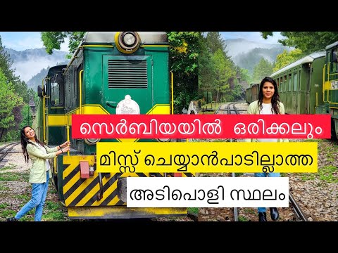 All you need to know Mokra Gora Train Journey | Tips & Travel Plan | Serbia | Mokra Gora