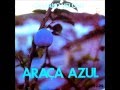 Sugar Cane Fields Forever (Araçá Azul 1972) 2006