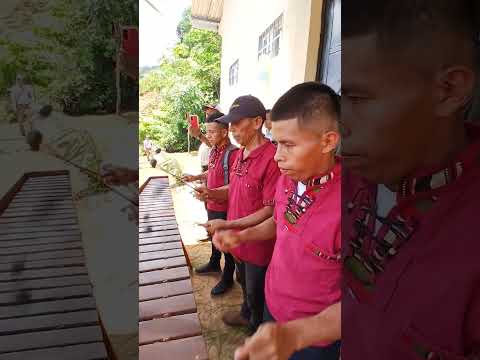 Kok' son marimba pura. El Estor, Izabal 🇬🇹👏🏻👏🏻👏🏻 #marimba #musica 
