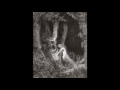 The Mountain Goats - 1 Samuel 15:23 [Live]