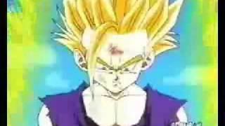 DragonBall Z - Damageplan - Fuck You