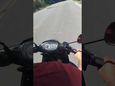 16 de março de 2026 coqueiro seco Alagoas