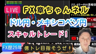 【FX生配信】テスト配信！リニューアルしました！FXトレード政治経済ライブに変わります！FX配信＋【この国を変えたい】れいわ新選組応援ライブ!