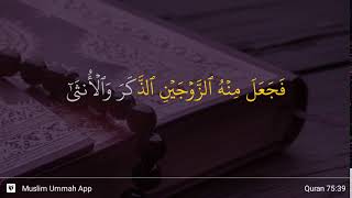 Download lagu Al-Qiyamah ayat 39 mp3 Download lagu Al-Qiyamah ayat 39 mp3