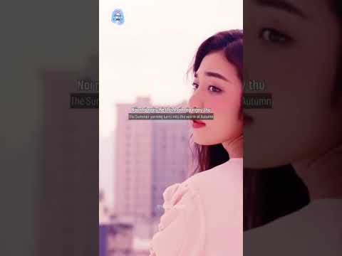 Heaven - Calum Scott, Hoàng Duyên Engsub