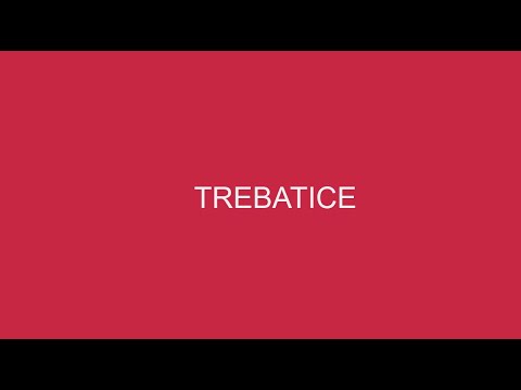 TREBATICE