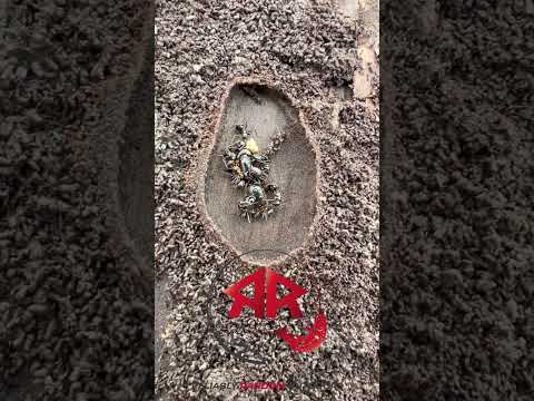Ants on a Log... with Queen #Shorts