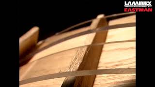 LAMINEX PETG EASTMAN Resistencia Química