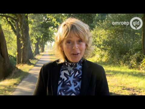 Gelderland Helpt 2 oktober 2016