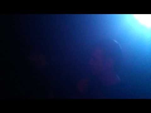 NO CONTROL x ROOTSHOT B-DAY BASH