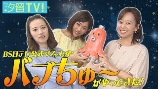 汐テレ女子アナ『バブちゅ〜がやってきた』