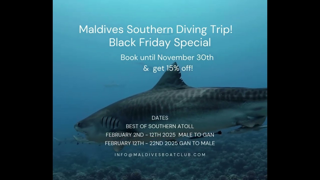 Adora Liveaboard, Maldives Boat Club video